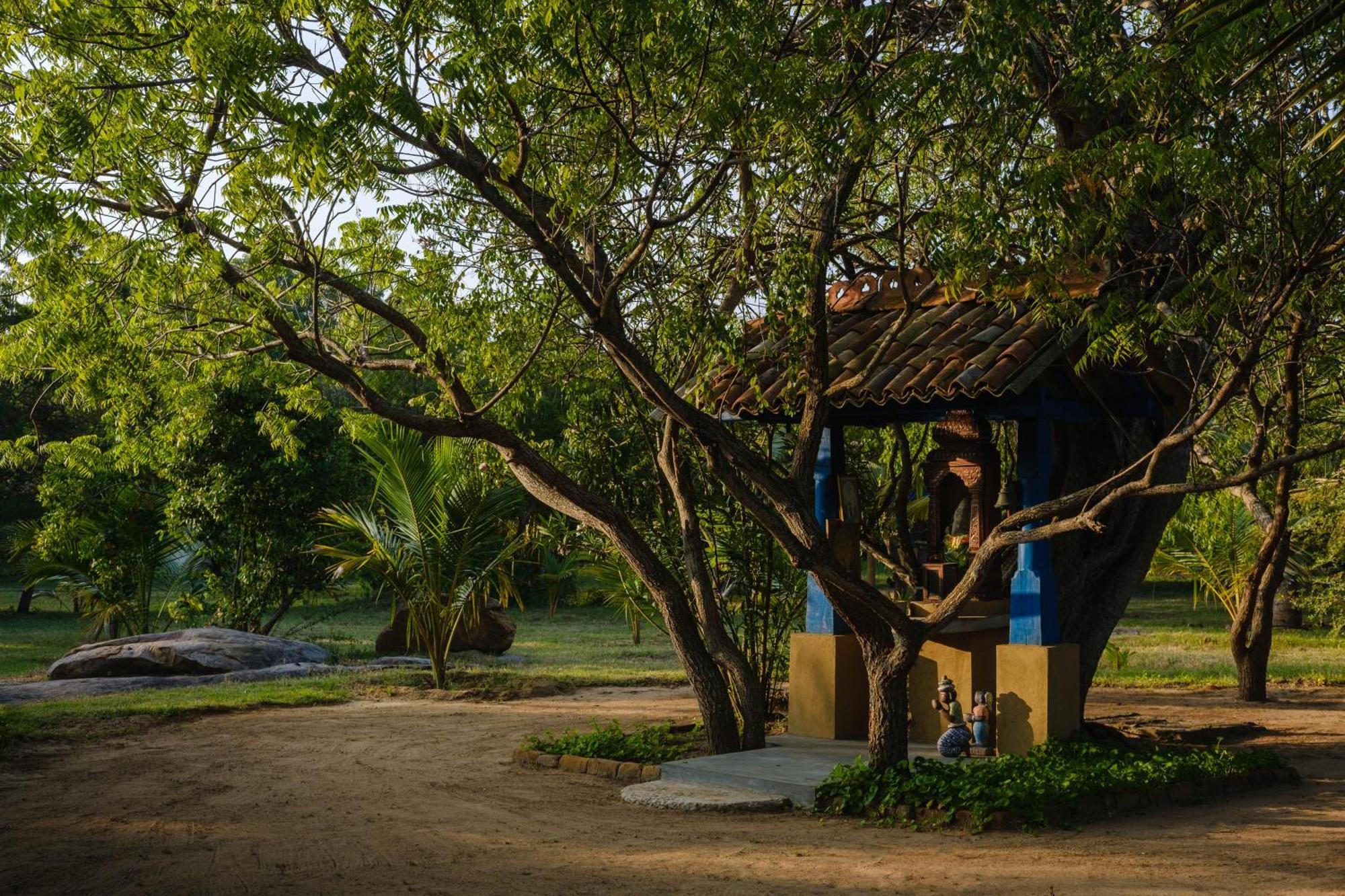 Treasure Rock Bed & Breakfast Kirinda  Exterior photo